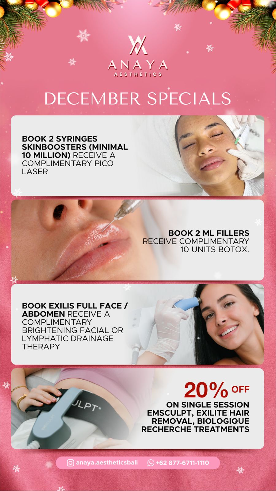 Anaya December 25 Promo