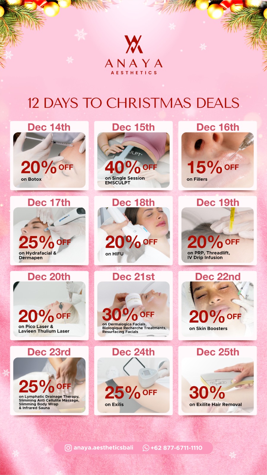 Anaya December 25 Promo - 2